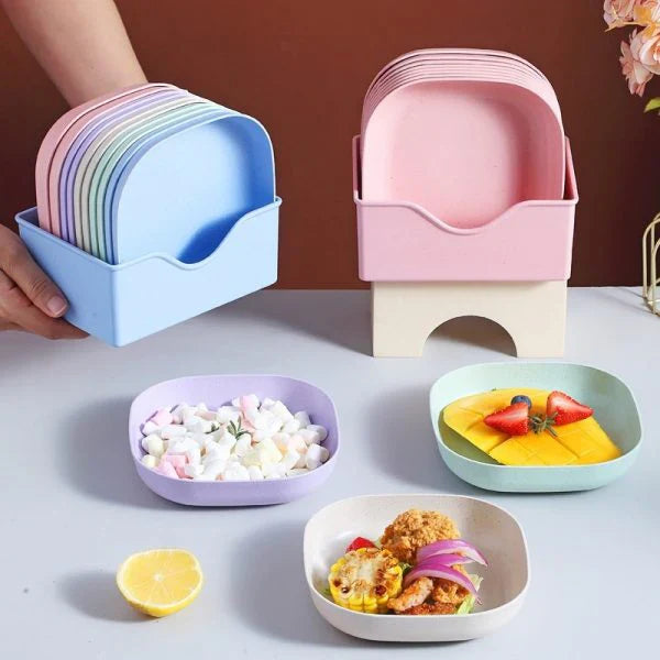 10 Pcs Plates Set With Holder