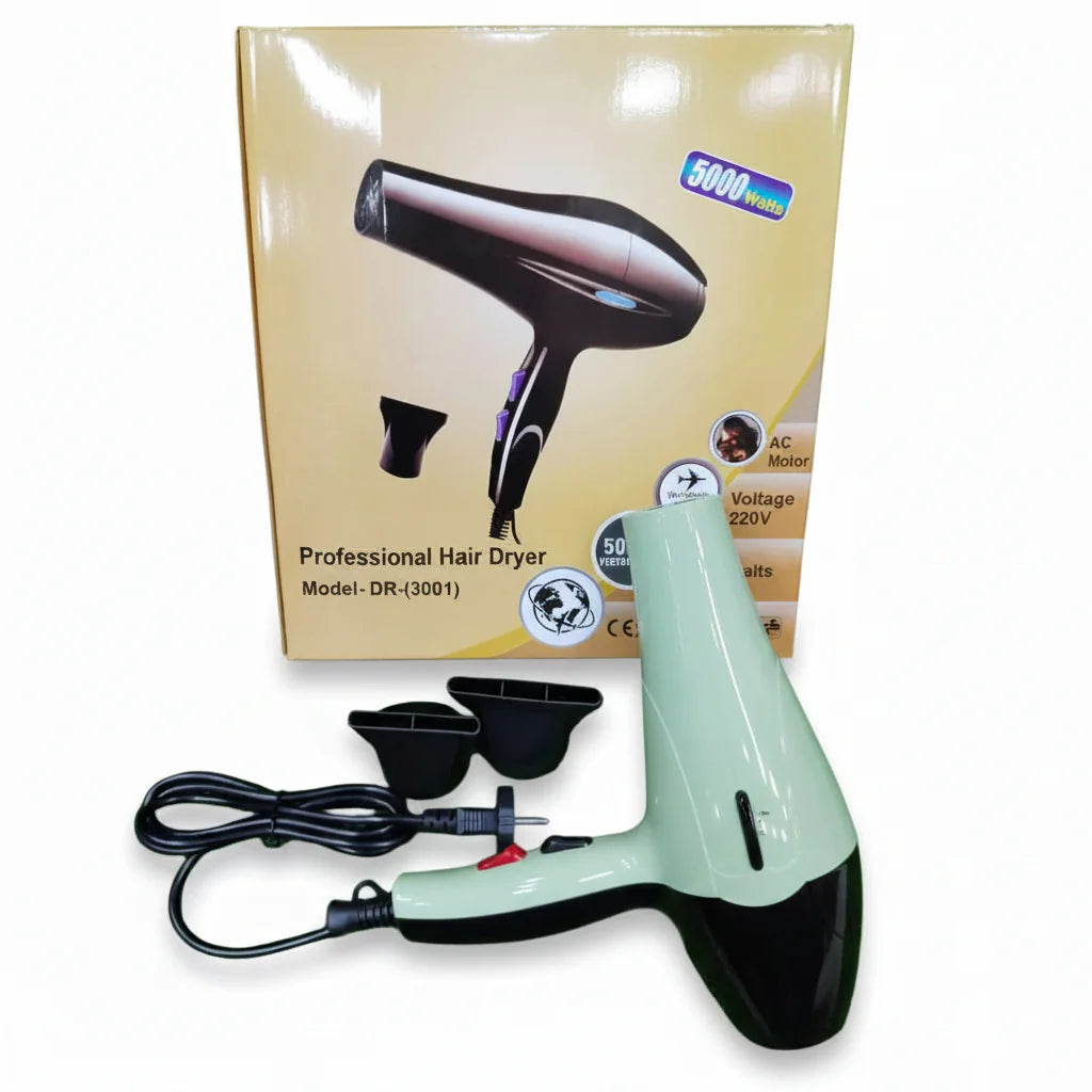 Style Hair Dryer - DR-(3001)